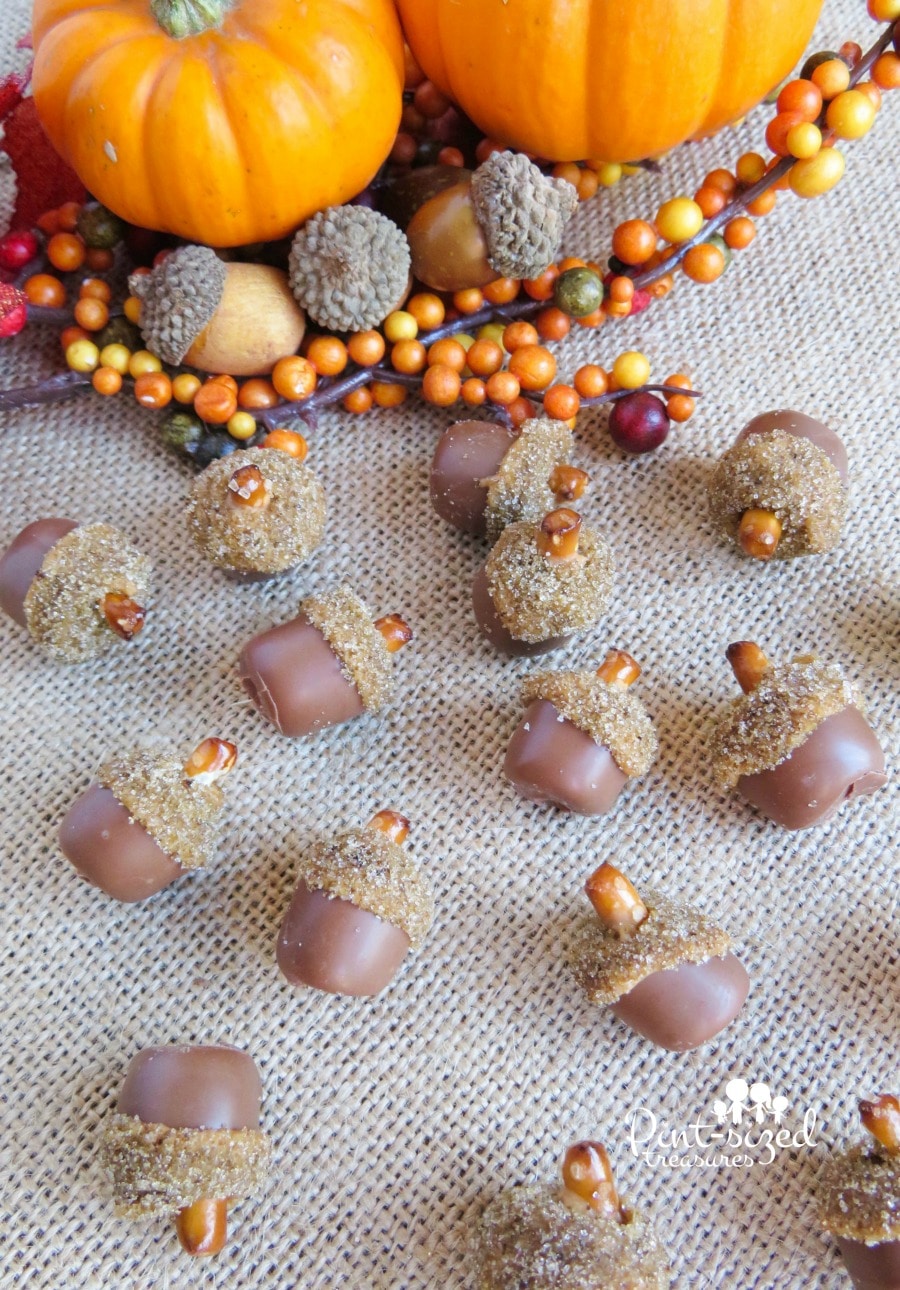 chocolate covered acorn treats