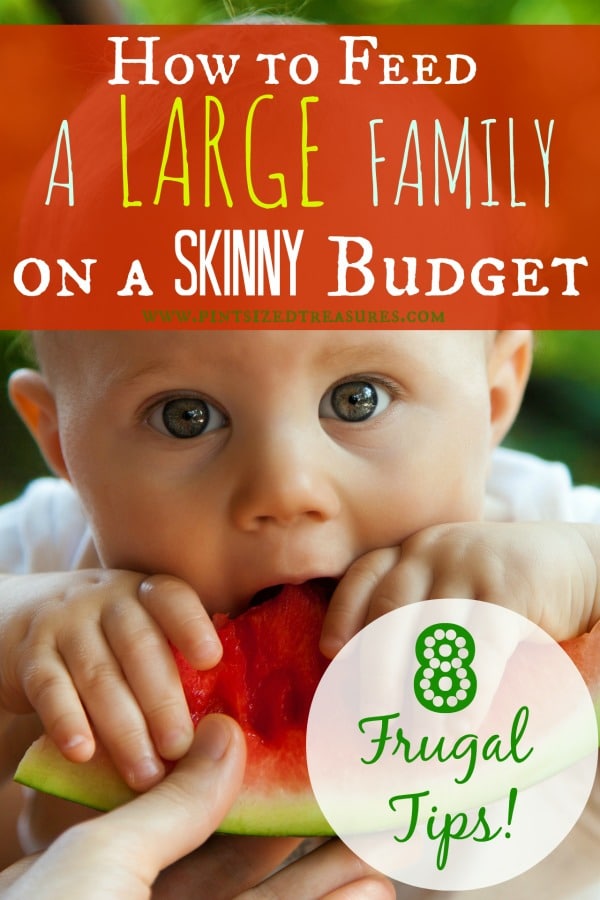 grocery budget ideas for a large family