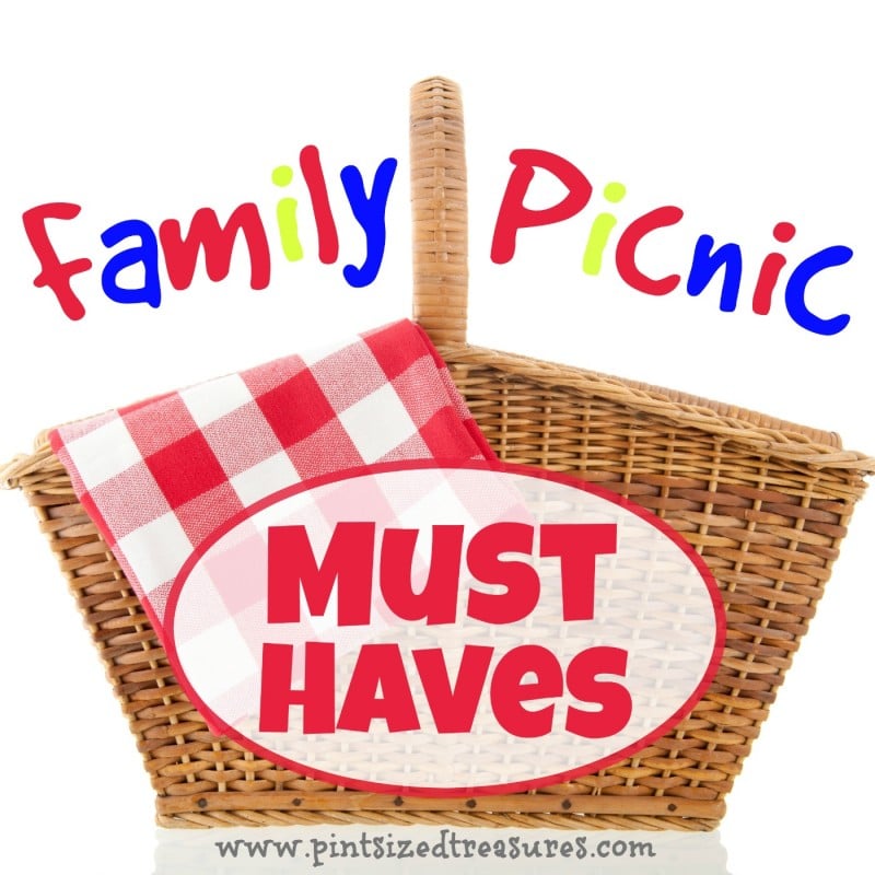 fun family picnic must haves