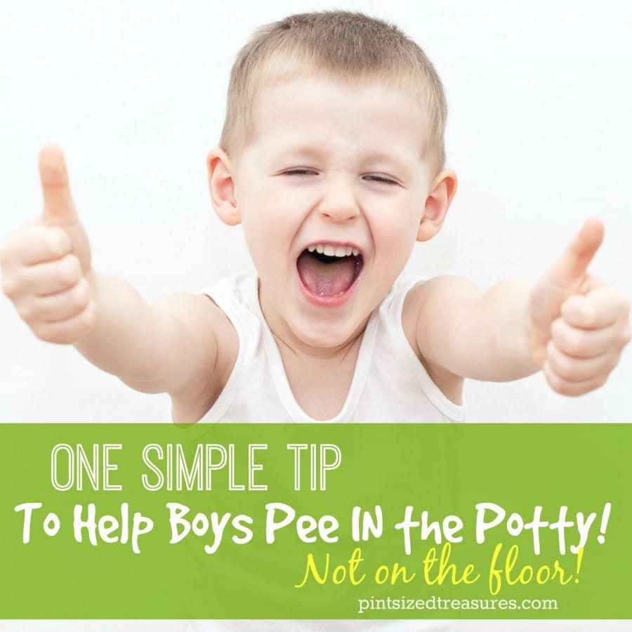 helping boys pee in the potty