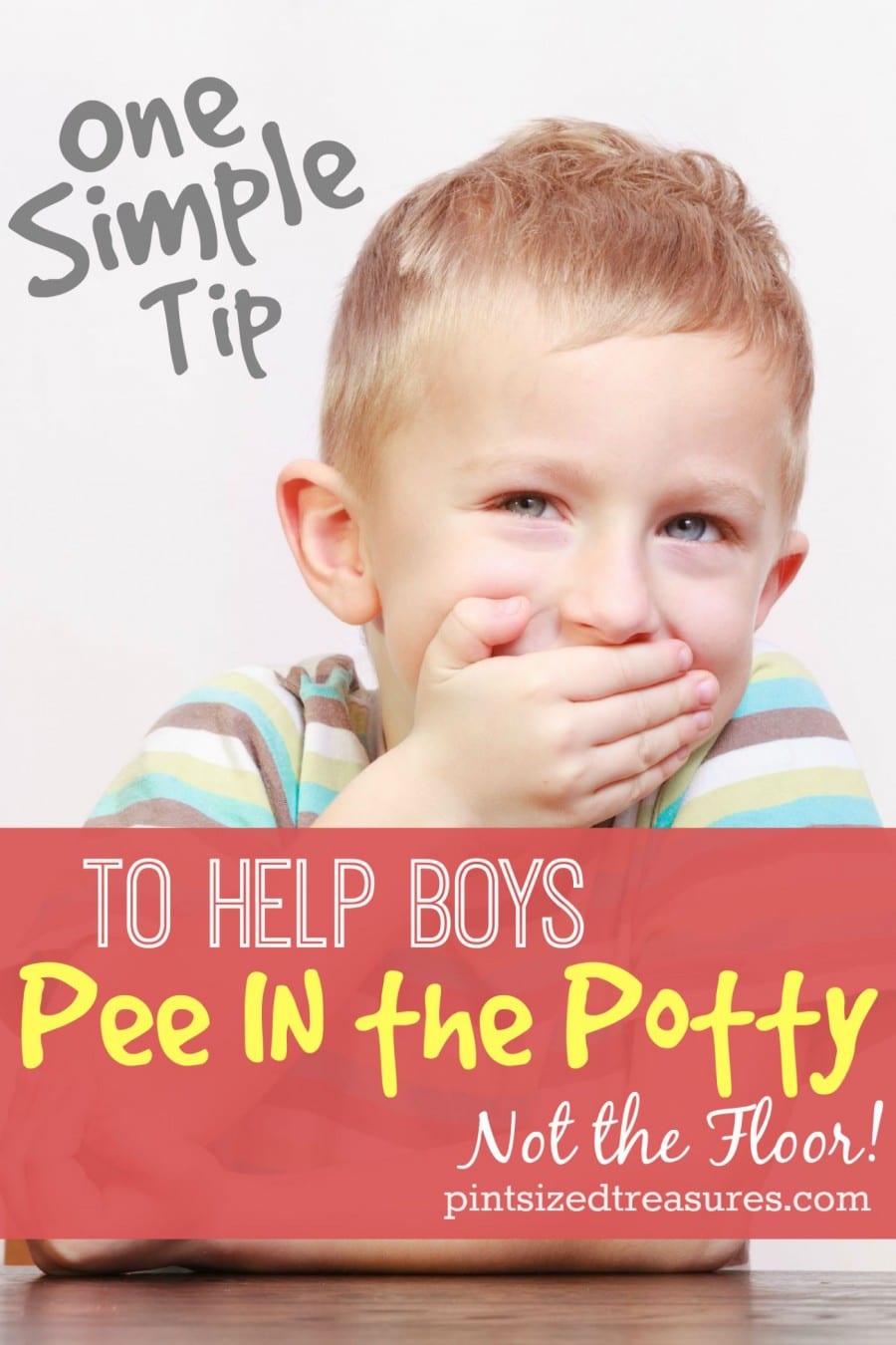 one tip to help boys pee in the potty