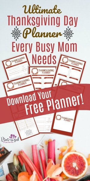 Thankgiving planner for busy moms. Perfect for the holidays!