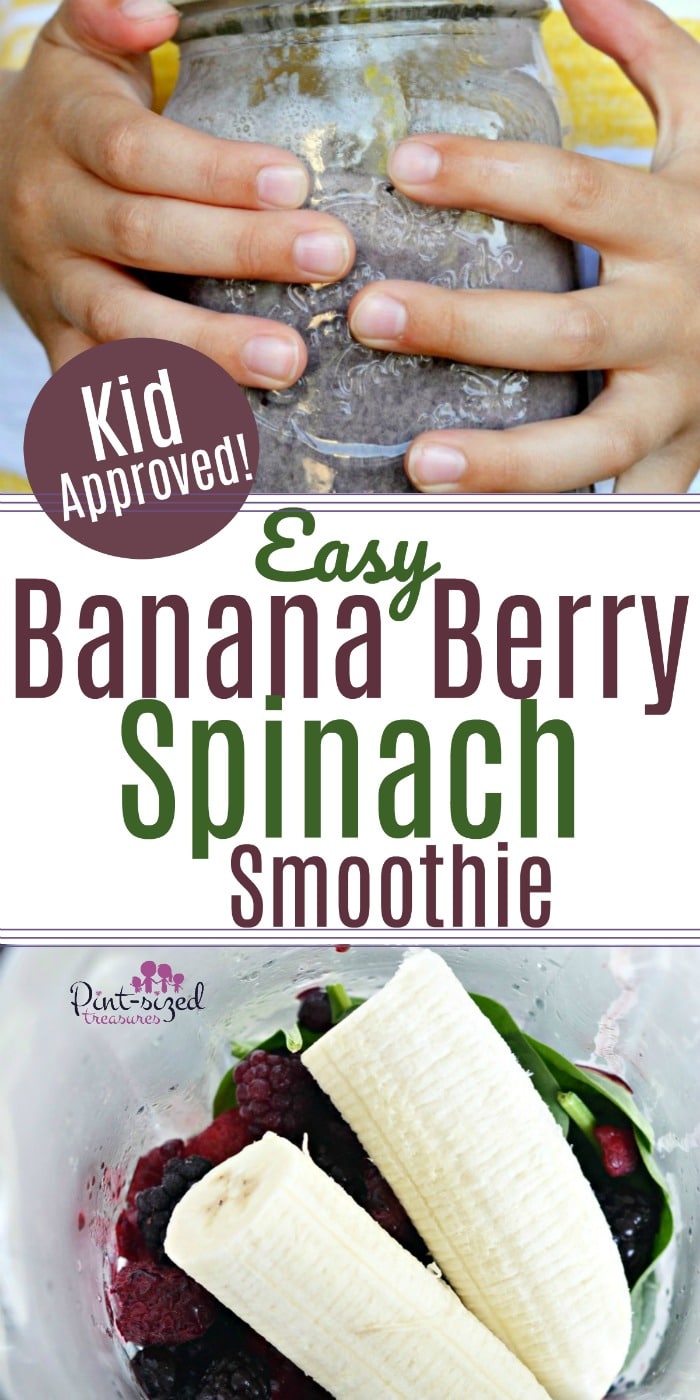 YUM! An easy, berry, banana and spinach smoothie makes mornings smooch easier, healthier and yummy! Blend up this super-fresh smoothie today! #bananasmoothie #berrysmoothie #spinachsmoothie #healthysmoothie #breakfastsmoothie #moothiesforkids #bestsmoothierecipe #easysmoothierecipe #berrybananasmoothie #bananaspinachsmoothie #smoothieskidslove