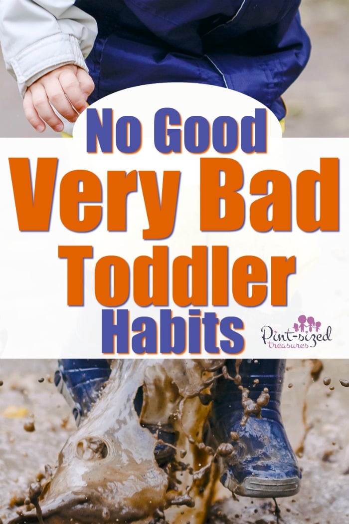I needed to read this! It helped me see my toddler's bad habits and gave me ideas on how to stop them! #Parenting #motherhood #raisingtoddlers #toddlermom #teachingtoddlers