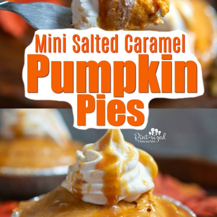 Easy No Bake Salted Caramel Pumpkin Pie