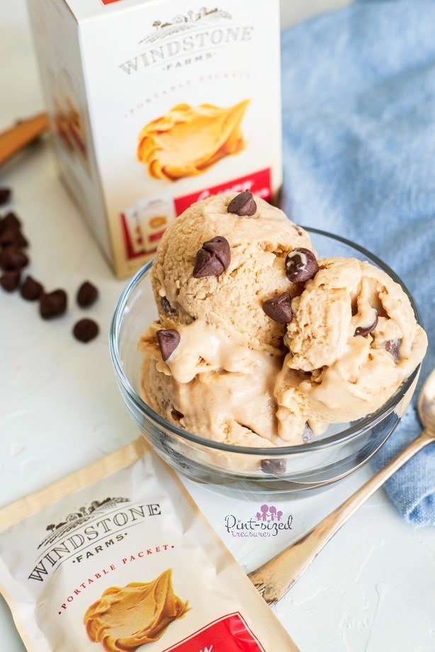 frozen yogurt recipe with peanut butter