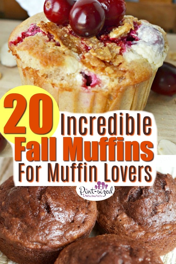 Fall Muffin Recipes for Muffin Lovers