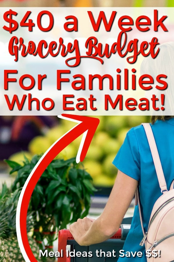 meal ideas for tight grocery budget