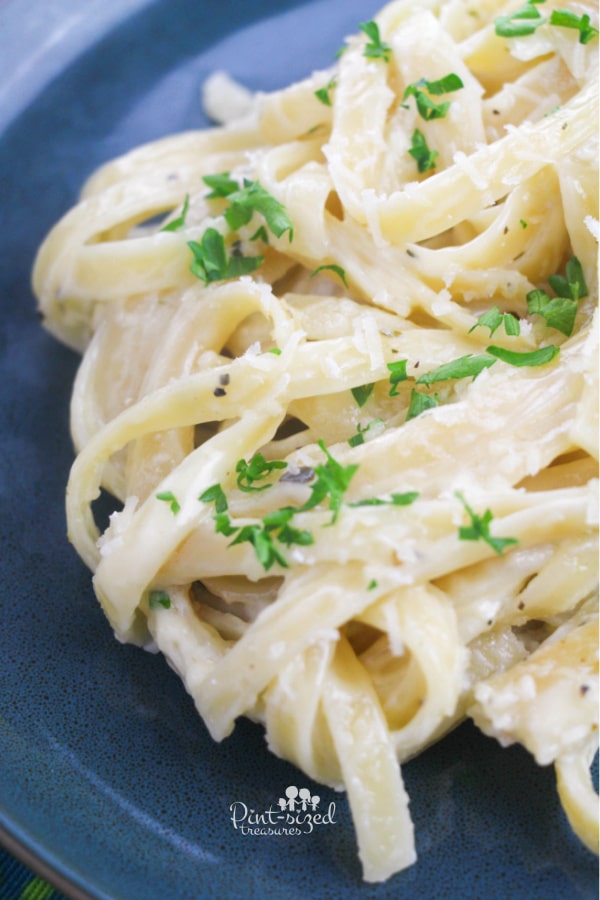Alfredo Sauce with fresh spices