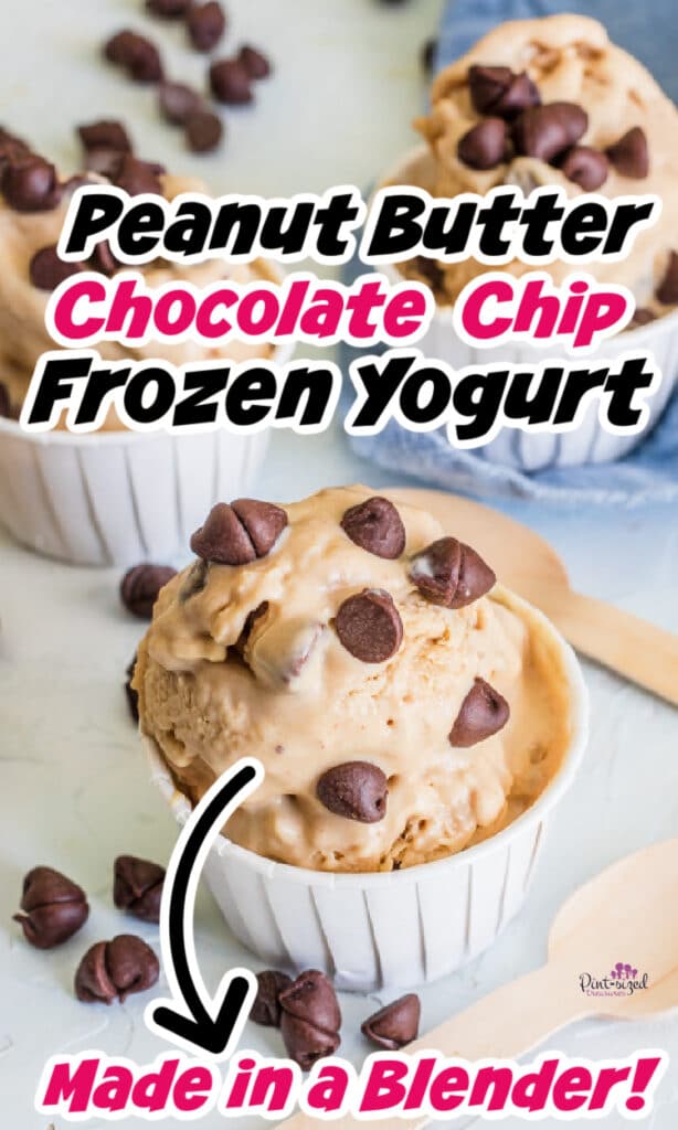 peanut butter chocolate chip frozen yogurt recipe