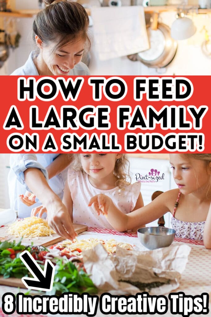 how to feed a large family on a small budget
