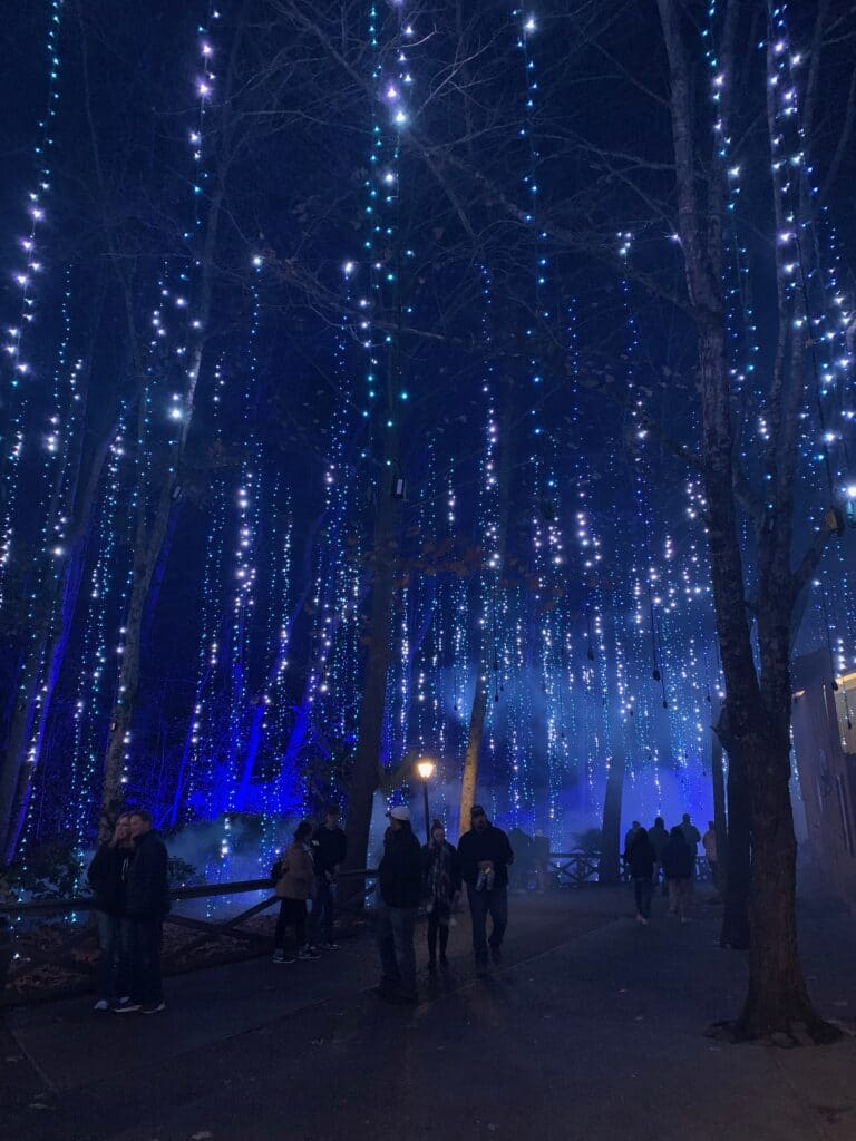 northern lights display at Dollywood