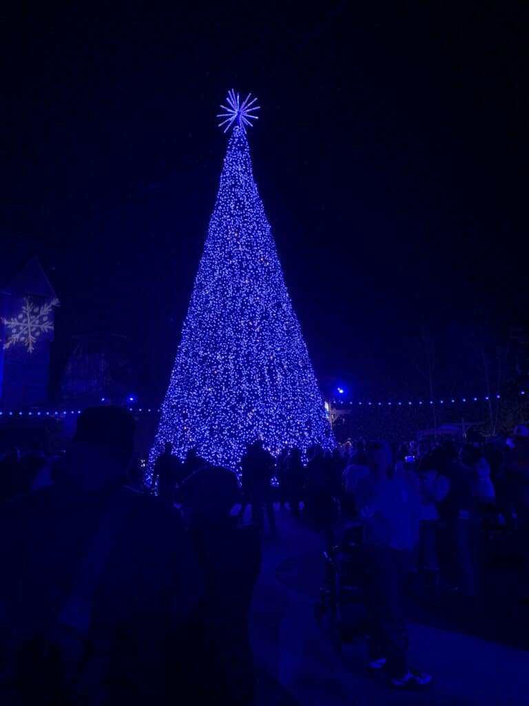 Christmas tree lights at Dollywood
