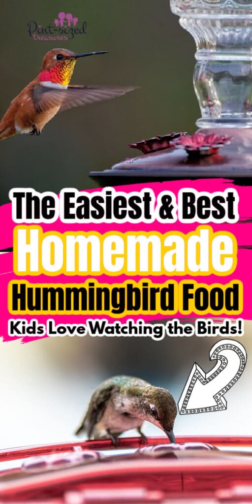 hummingbirds eating the homemade bird food in the bird feeder