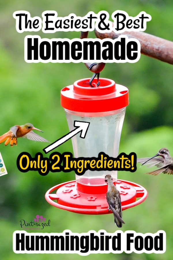 putting the homemade hummingbird food into the bird feeder