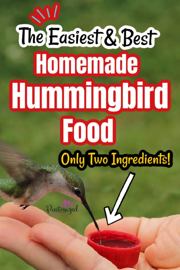 easy homemade hummingbird food