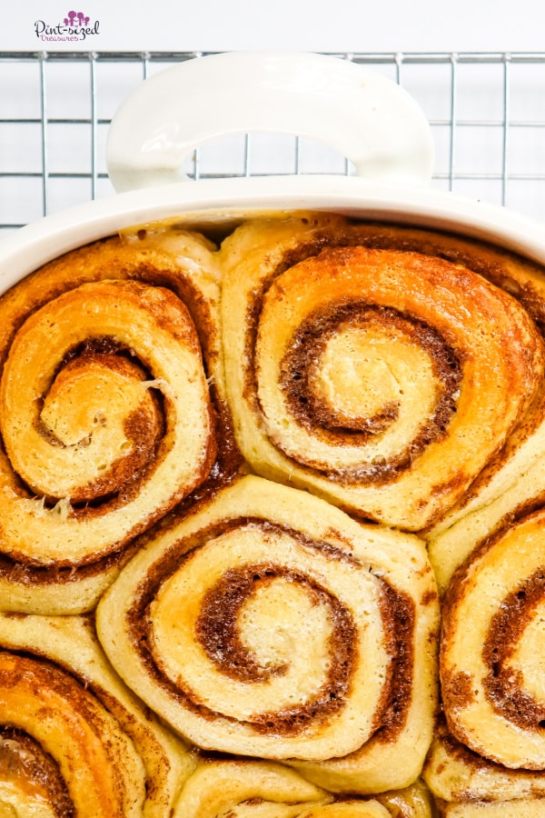 cinnamon rolls straight from the oven