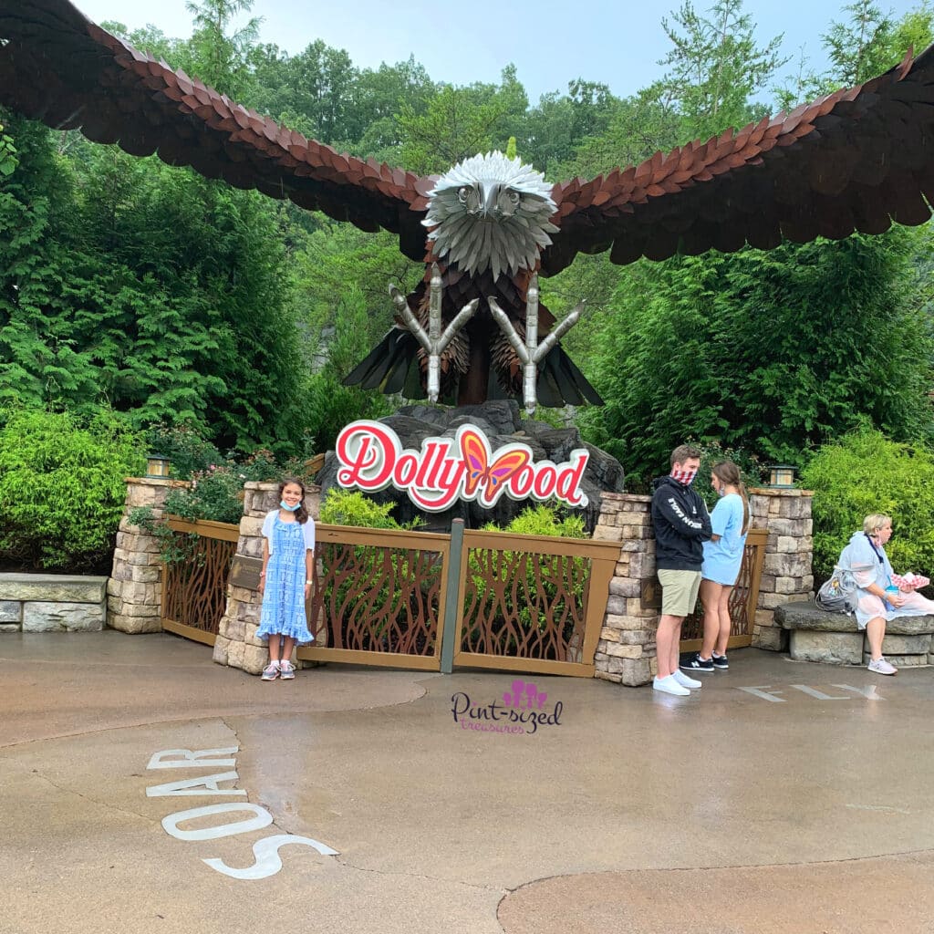 eagle roller coaster at Dollywood theme park
