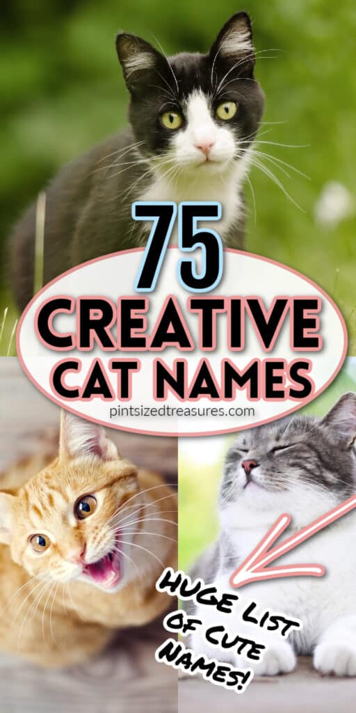 cat names that are cute and creative