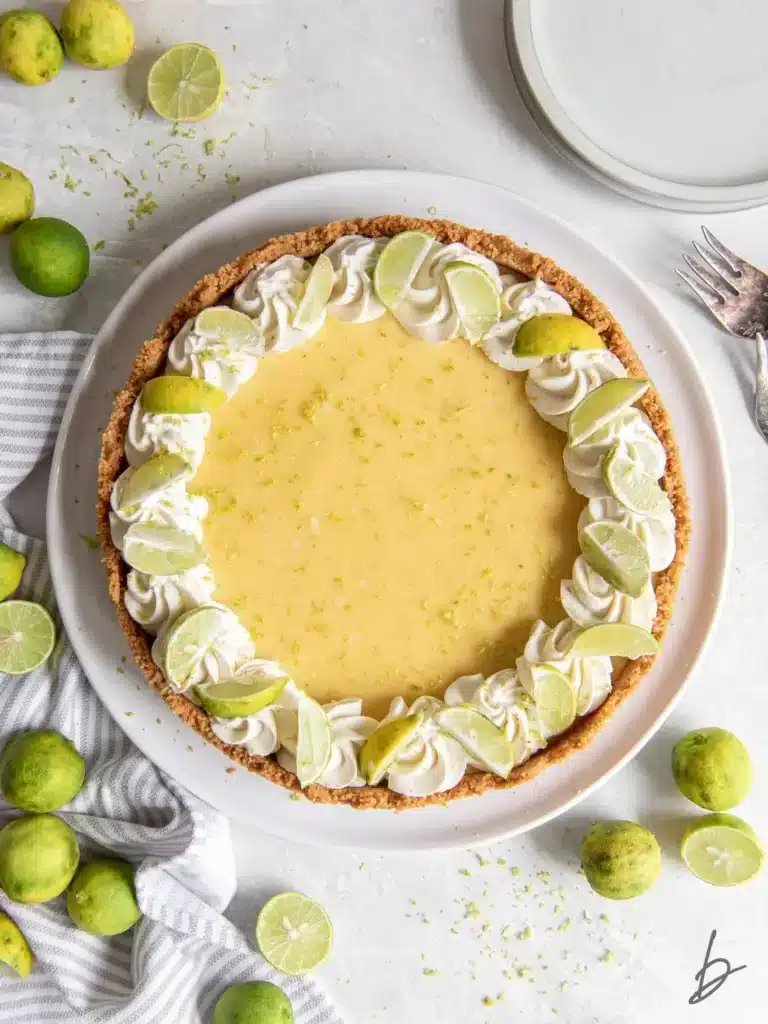key lime pie featured in the best homemade recipes