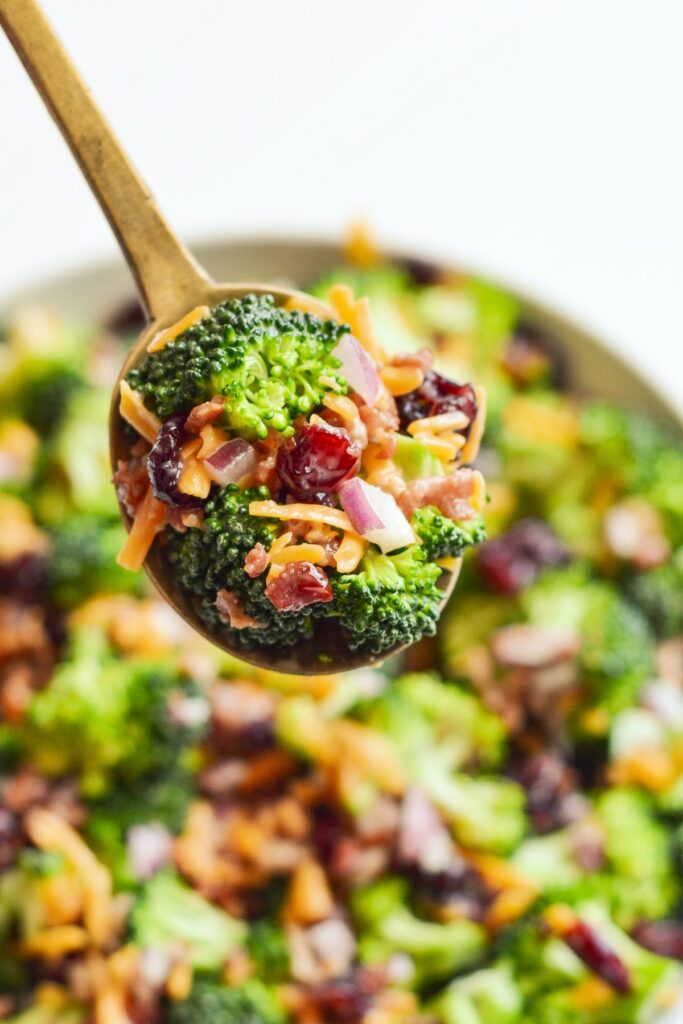 broccoli salad recipe
